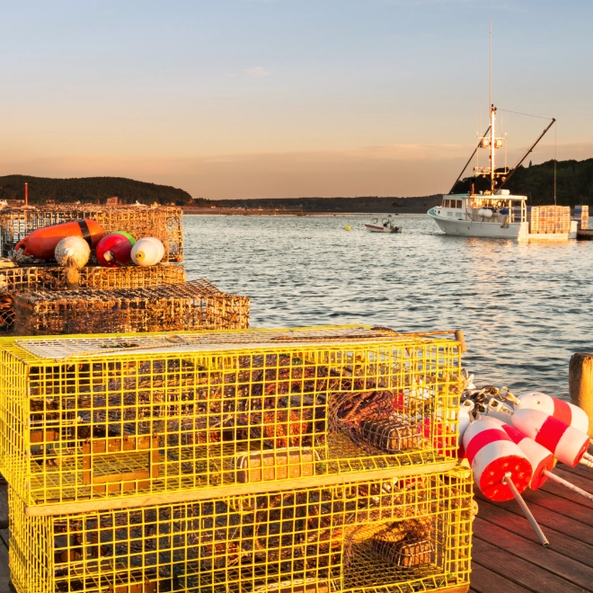 A dock at sunset with several yellow lobster traps stacked on top of each other